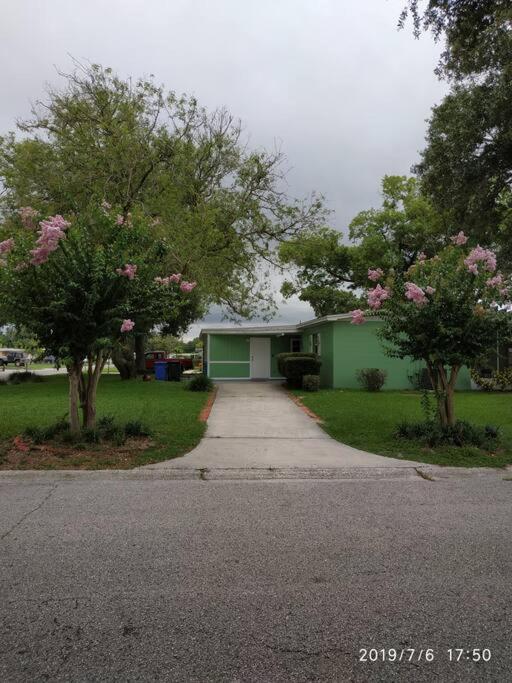 Green House Tampa Luaran gambar